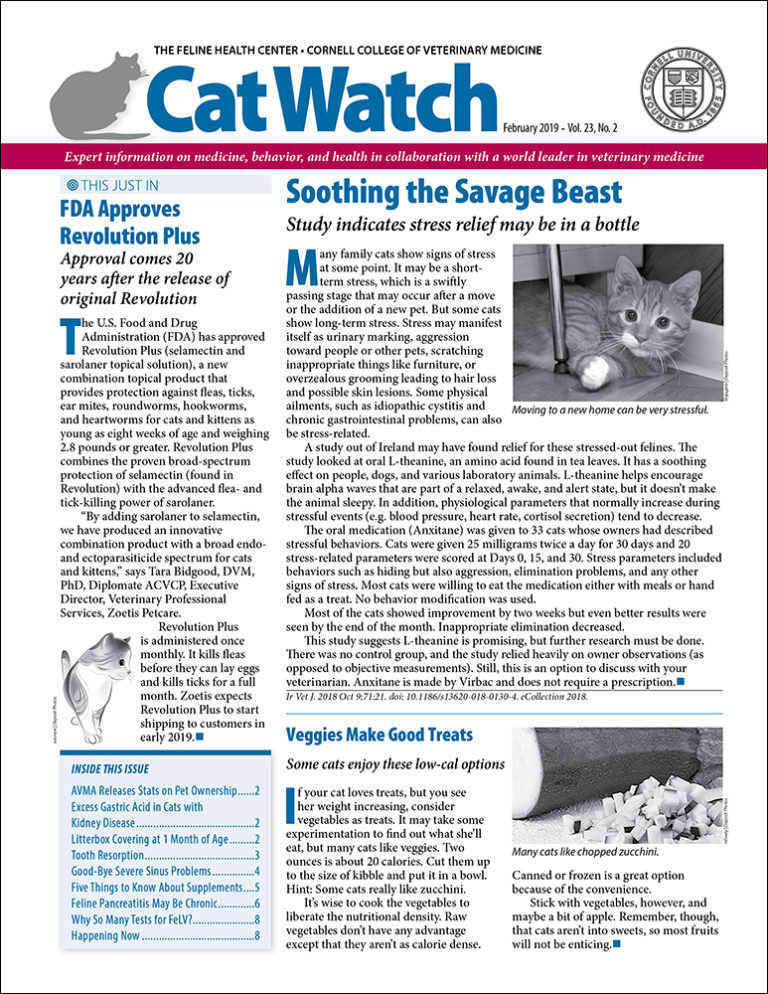 Download the Full February 2019 Issue PDF