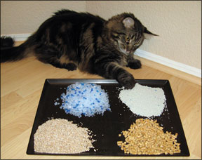 Washable cat outlet litter pellets