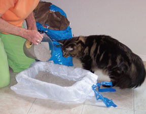 How to change 2025 cat litter box