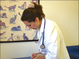 Did You Know? The Discovery of FeLV