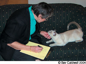 Looking For An Animal Behaviorist? - Catwatch Newsletter