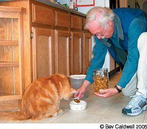 Best cat 2024 food for flutd