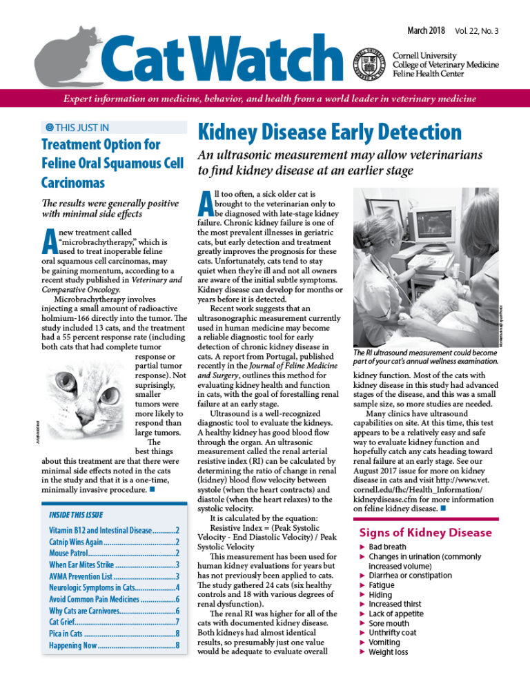 Download the Full March 2018 Issue PDF