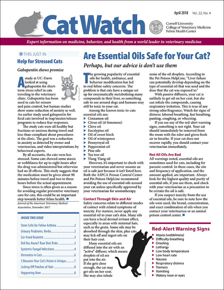 Download the Full April 2018 Issue PDF