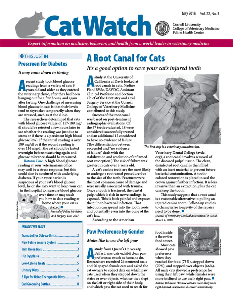 Download the Full May 2018 Issue PDF