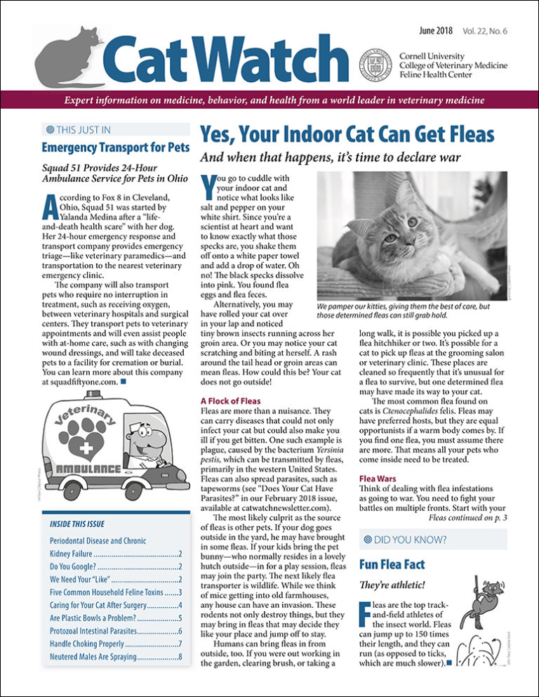 Download the Full June 2018 Issue PDF
