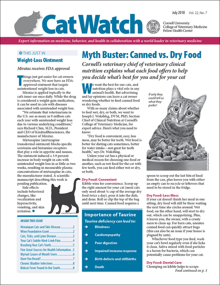 Download the Full July 2018 Issue PDF