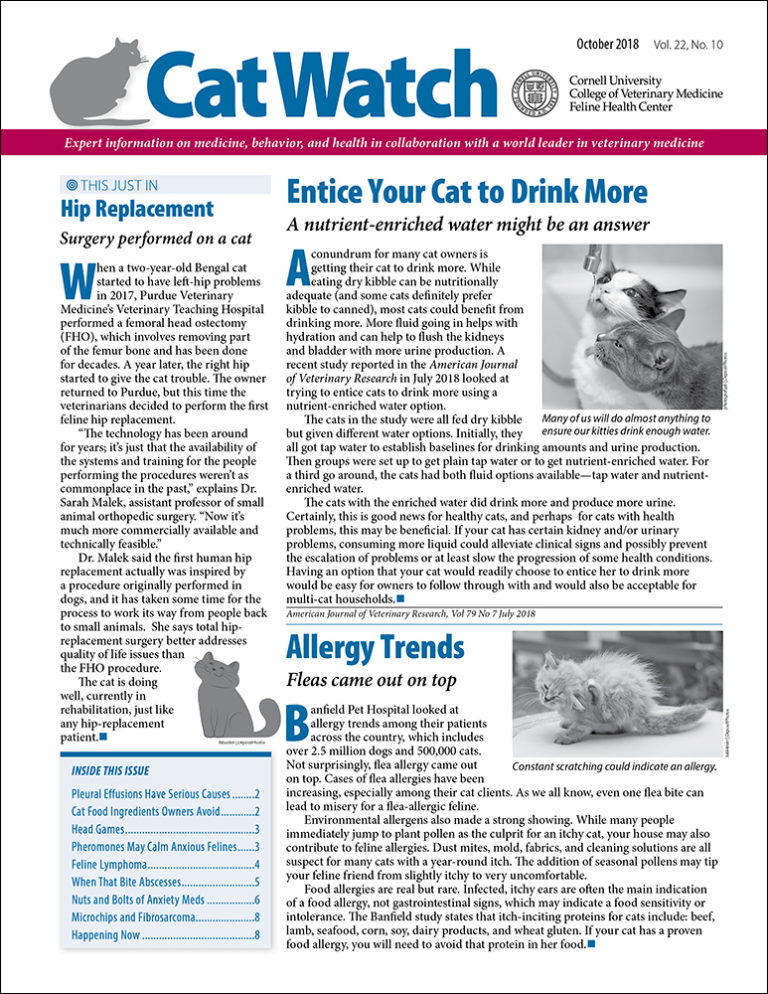 Download the Full October 2018 Issue PDF