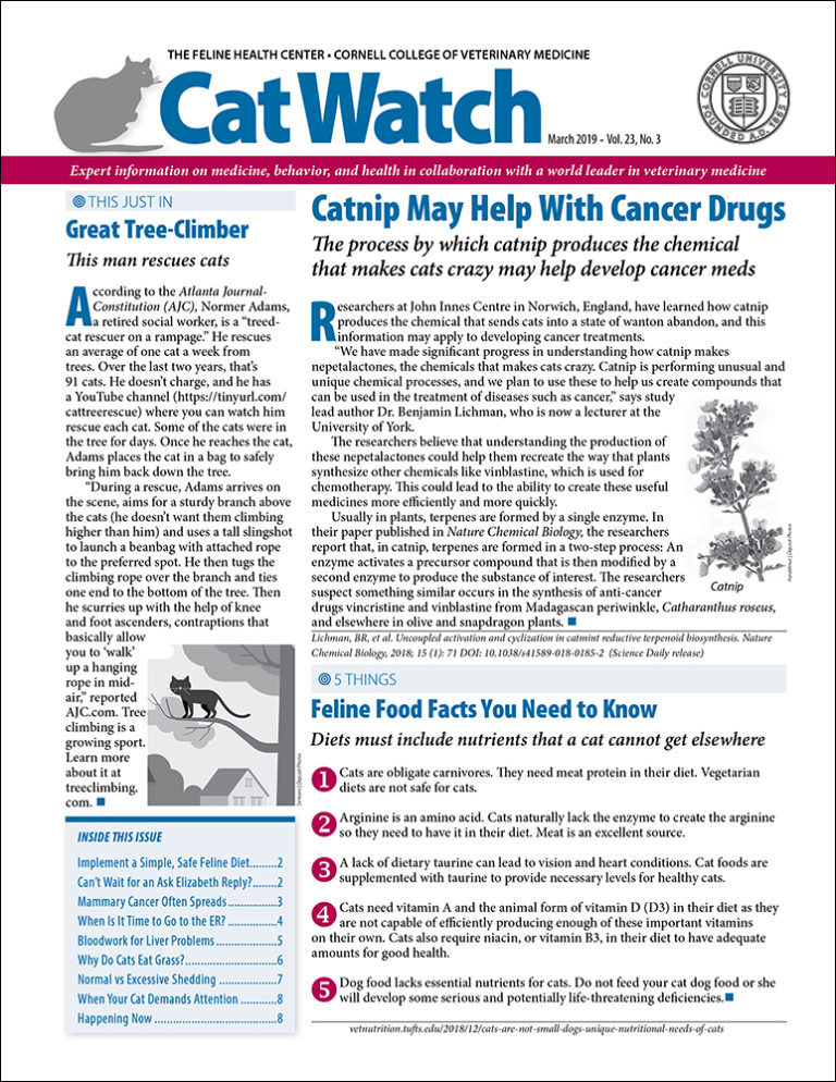 Download the Full March 2019 Issue PDF