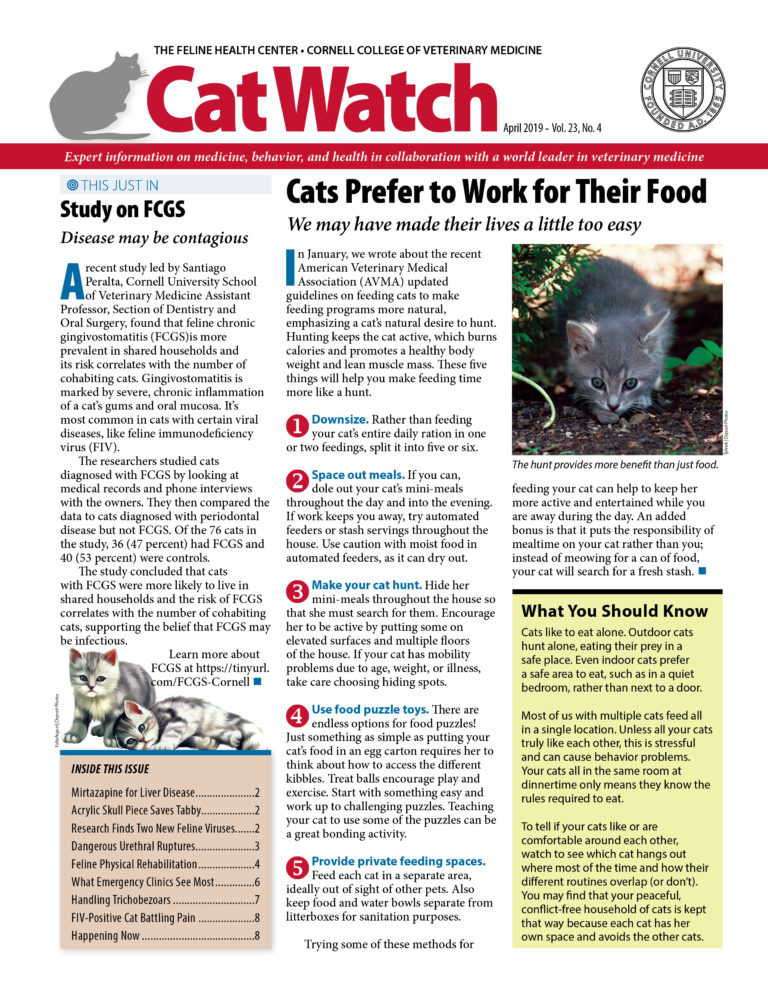 Download the Full April 2019 Issue PDF
