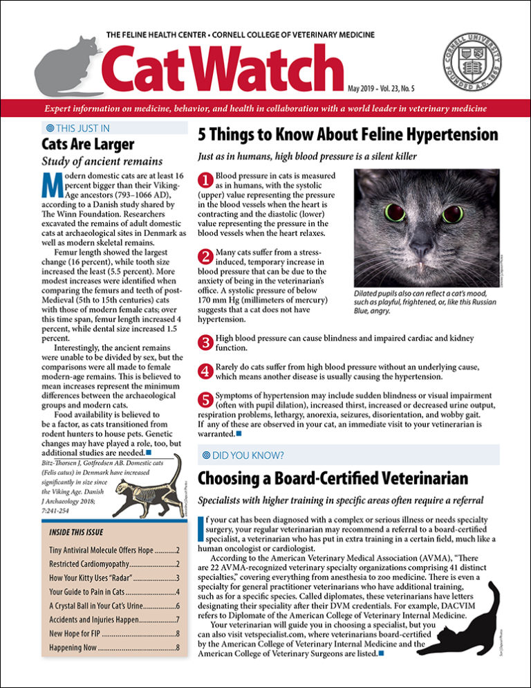 Download the Full May 2019 Issue PDF