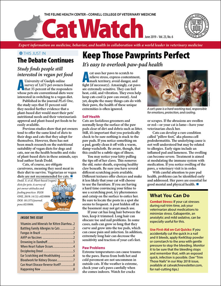 Download the Full June 2019 Issue PDF