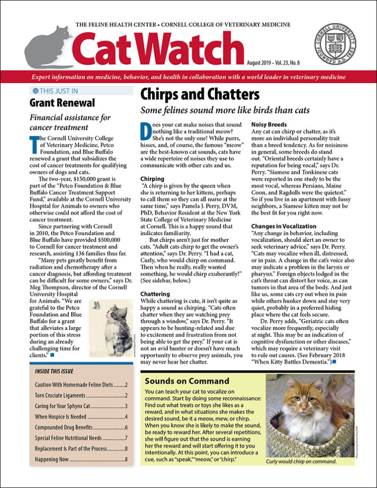 Download the Full August 2019 Issue PDF