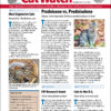 Catwatch Newsletter Subscription - 1-year digital subscription + online archive access