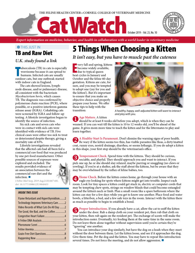 Download the Full October 2019 Issue PDF
