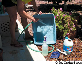 best way to clean litter box