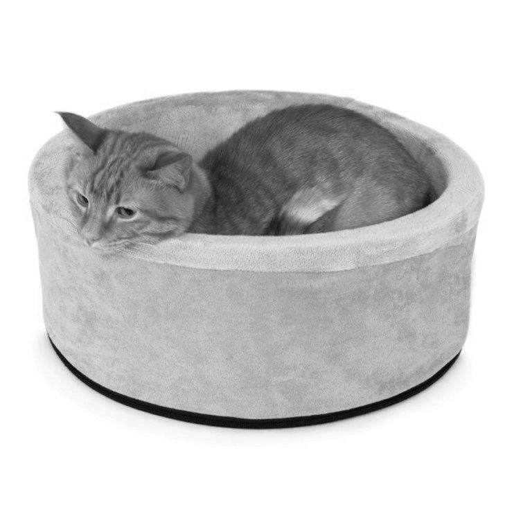 5 Steps to Ease Your Cat’s Arthritis