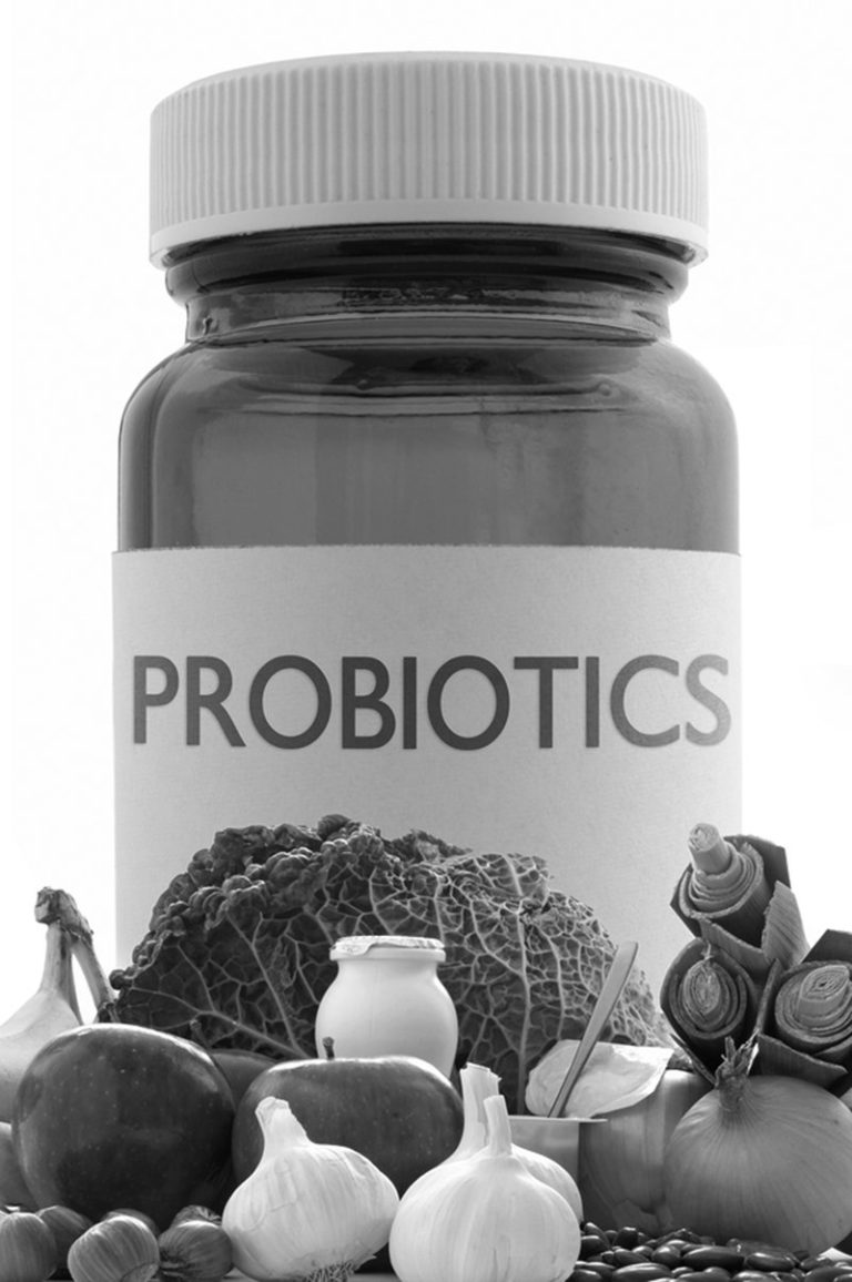 Are Probiotics Right for Your Cat?