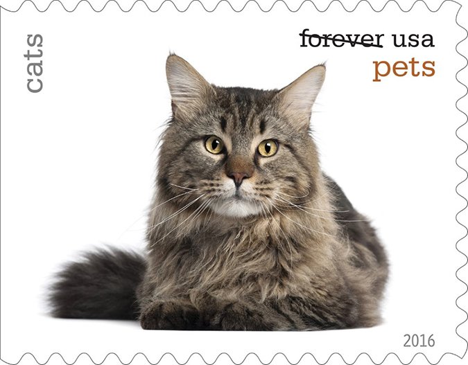 cat postal stamps