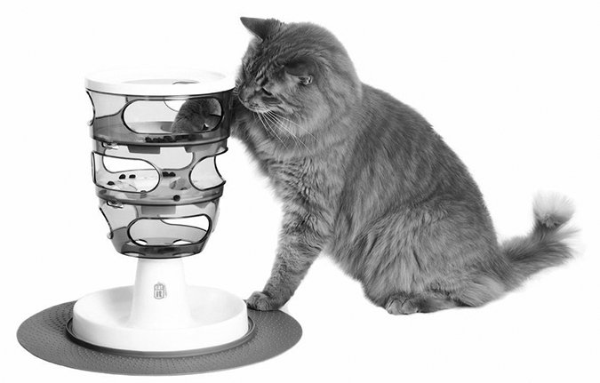 Food Puzzles for Cats; Going to the Vet - Catwatch Newsletter