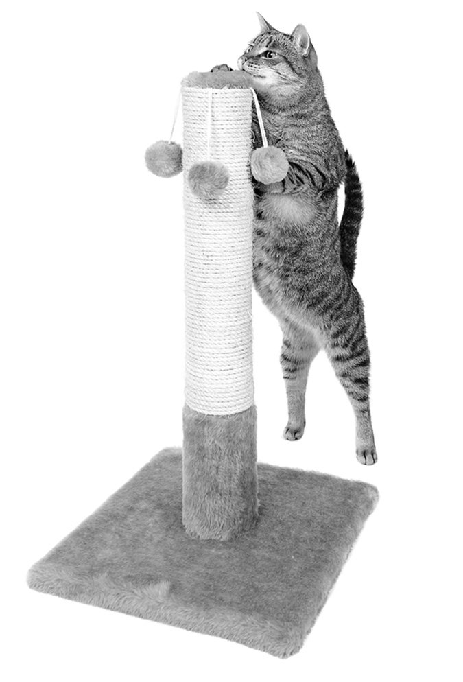 cat on scratching post