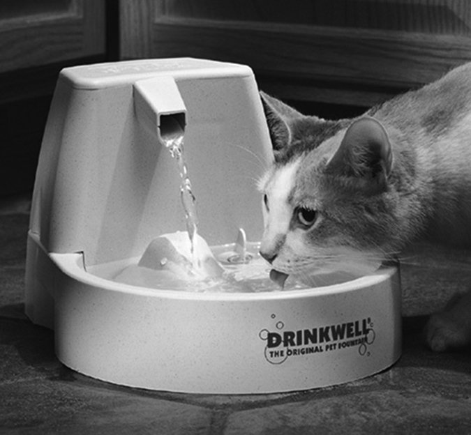 cat Drinkwell water fountain