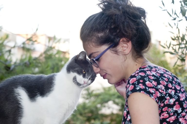 Study Names the Feline Five