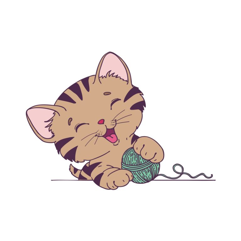 Kitten Kindergarten