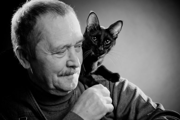 Cats Mourn Losses Just as We Do