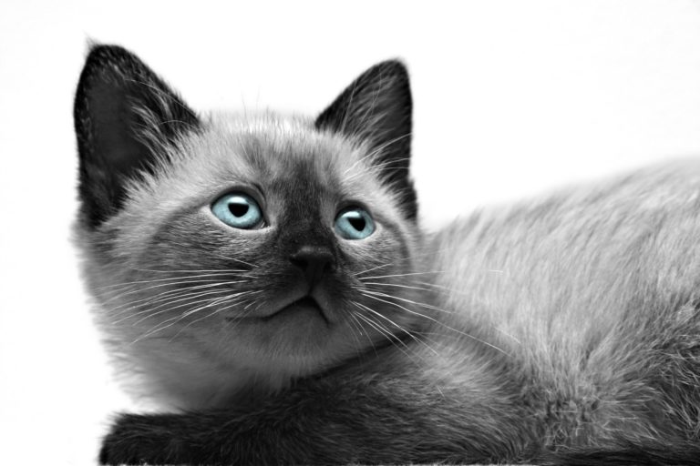 Avoid Common OTC Medicines