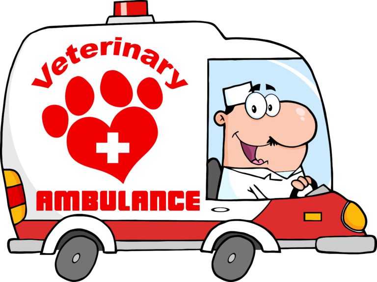 Emergency Transport for Pets