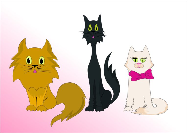 D.C. Cat Count
