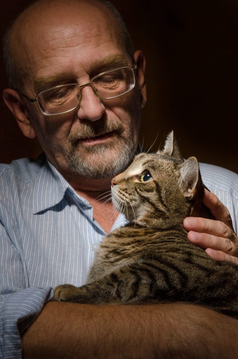 Nutritional Power for Senior Cats