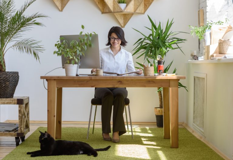 Feline Parasite May Jump-Start New Businesses