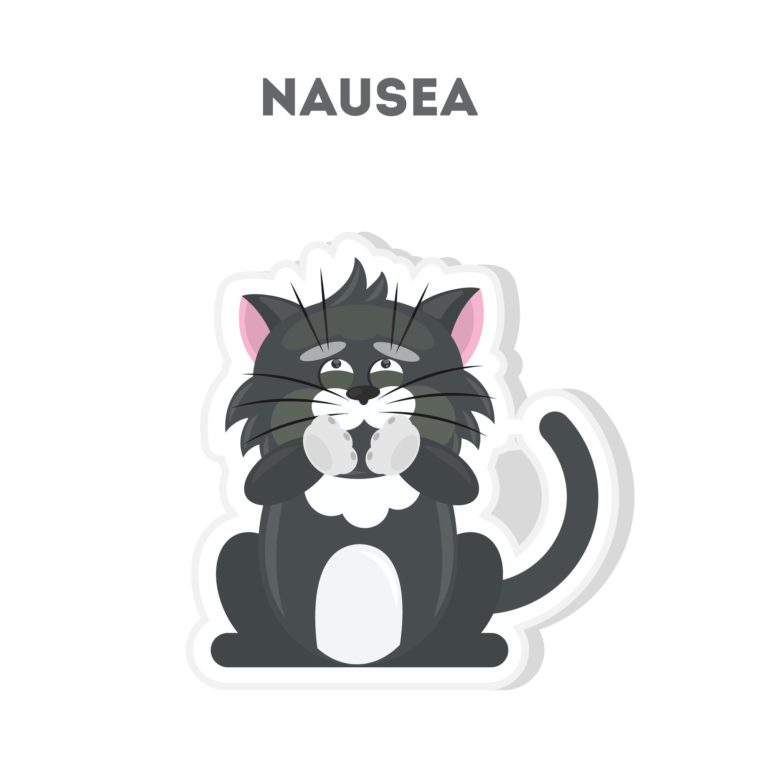 Dolasetron Fails for Vomiting in Felines