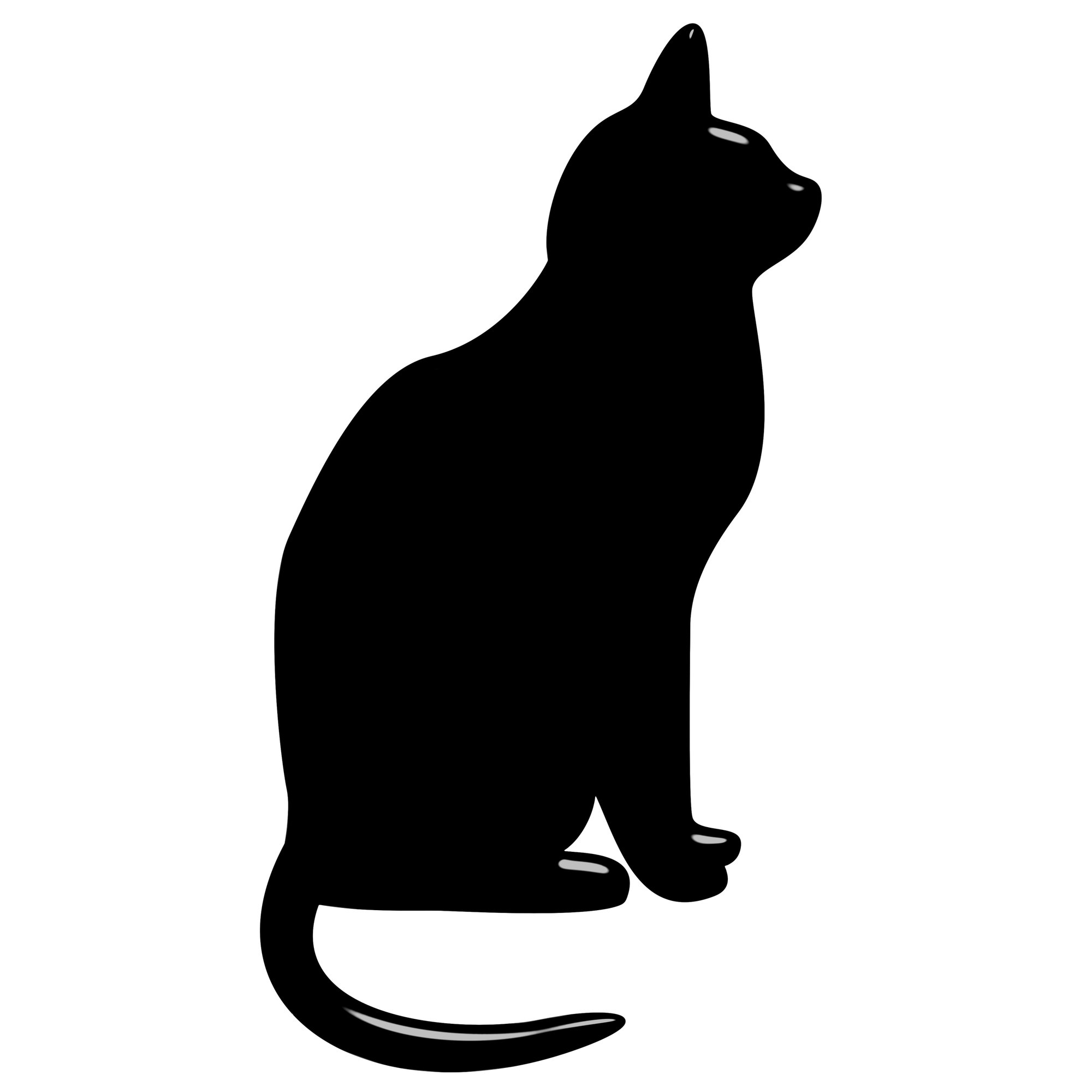 Excess Gastric Acid in Cats with Kidney Disease - Catwatch Newsletter