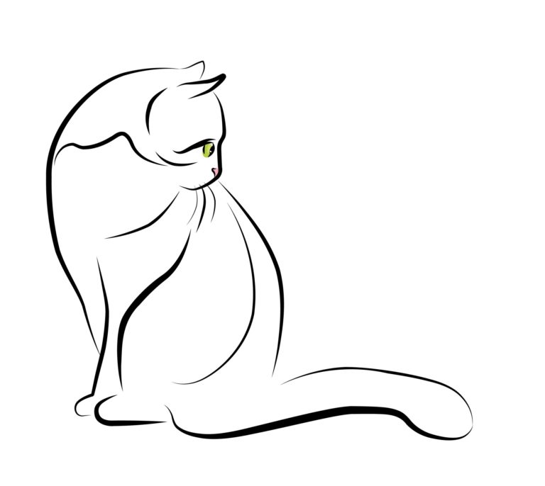 Cant Wait for an Ask Elizabeth Reply?