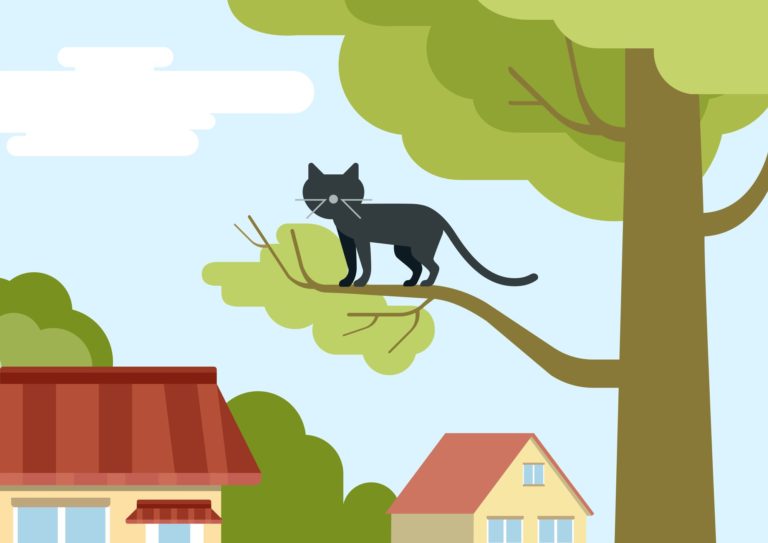 Great Tree-Climber