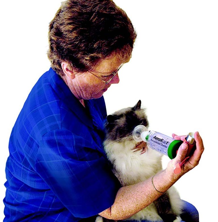 Heads Up on Chronic Coughs