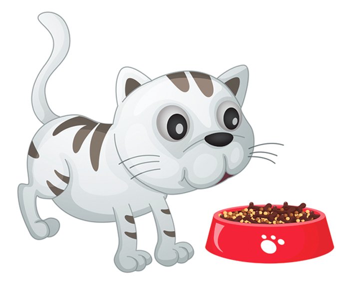 Caution With Homemade Feline Diets - Catwatch Newsletter