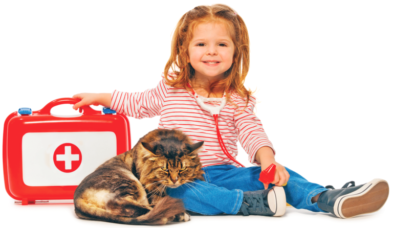 Assemble a Simple First-Aid Kit
