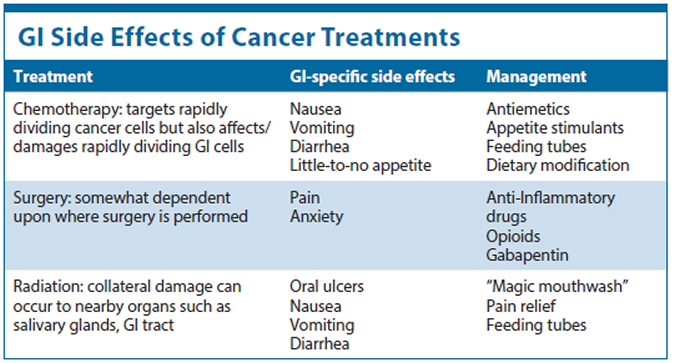 cat cancer diet