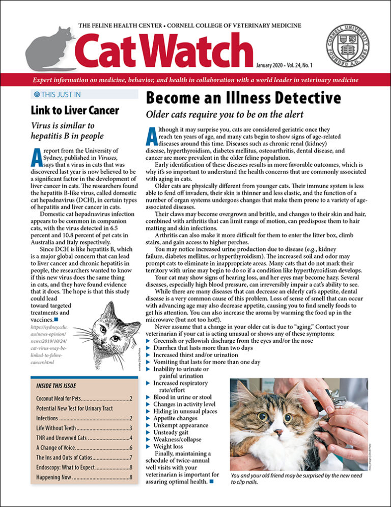 Download the Full January 2020 Issue PDF