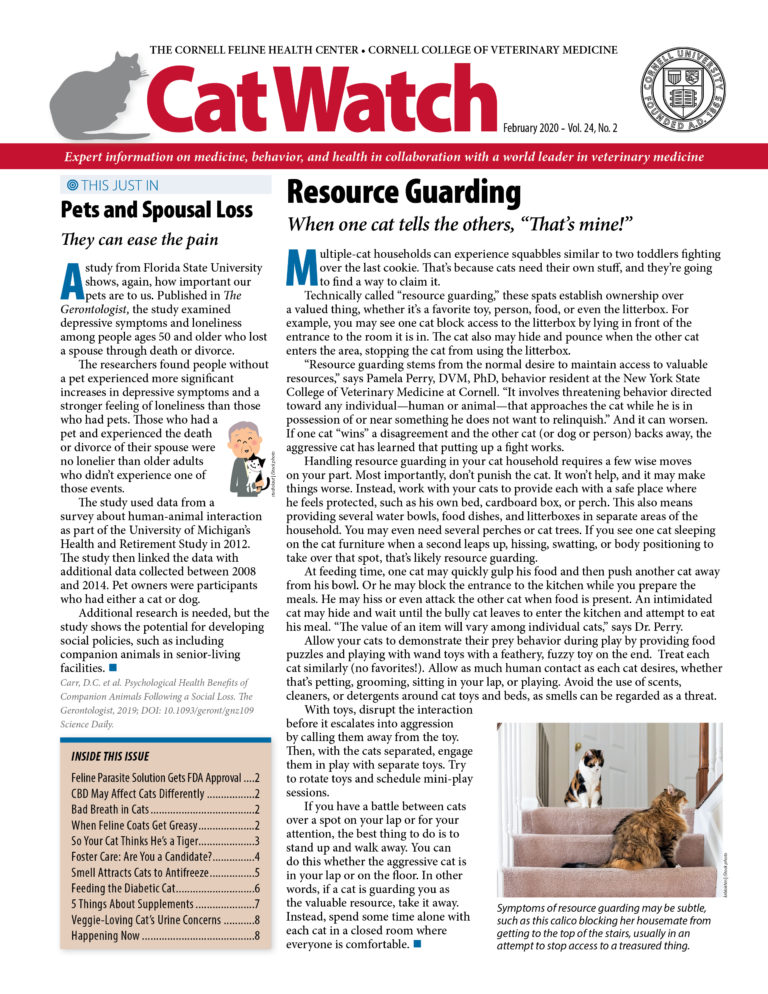 Download the Full February 2020 Issue PDF