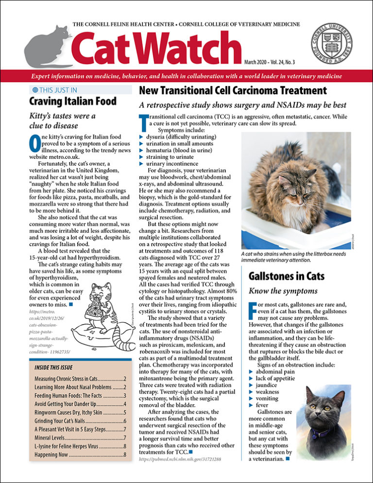 Download the Full March 2020 Issue PDF