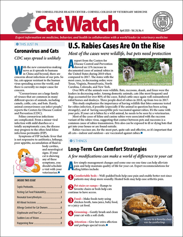 Download the Full April 2020 Issue PDF