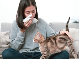 Allergy Control for Cat Owners