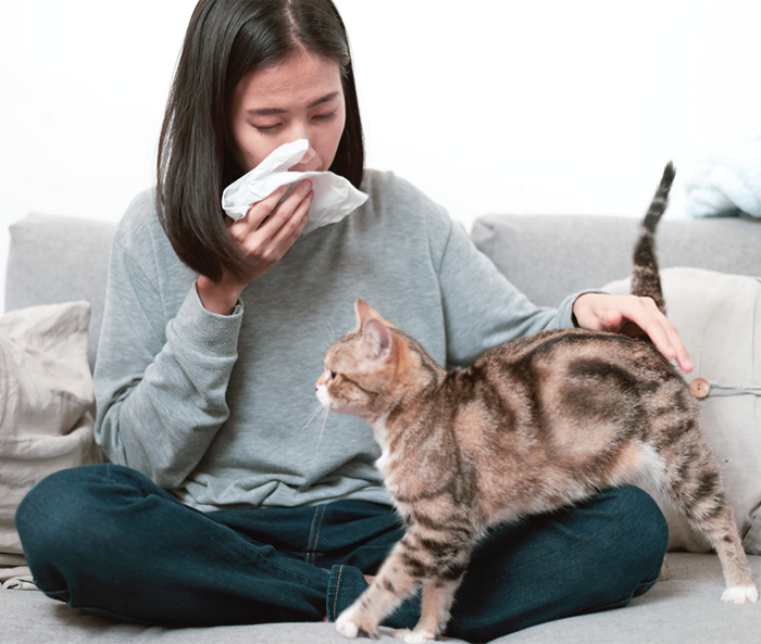 Allergy Control for Cat Owners Catwatch Newsletter