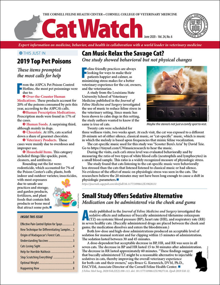 Download the Full June 2020 Issue PDF