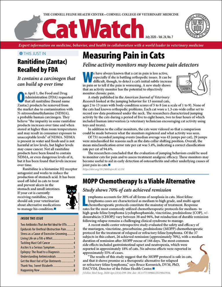Download the Full July 2020 Issue PDF
